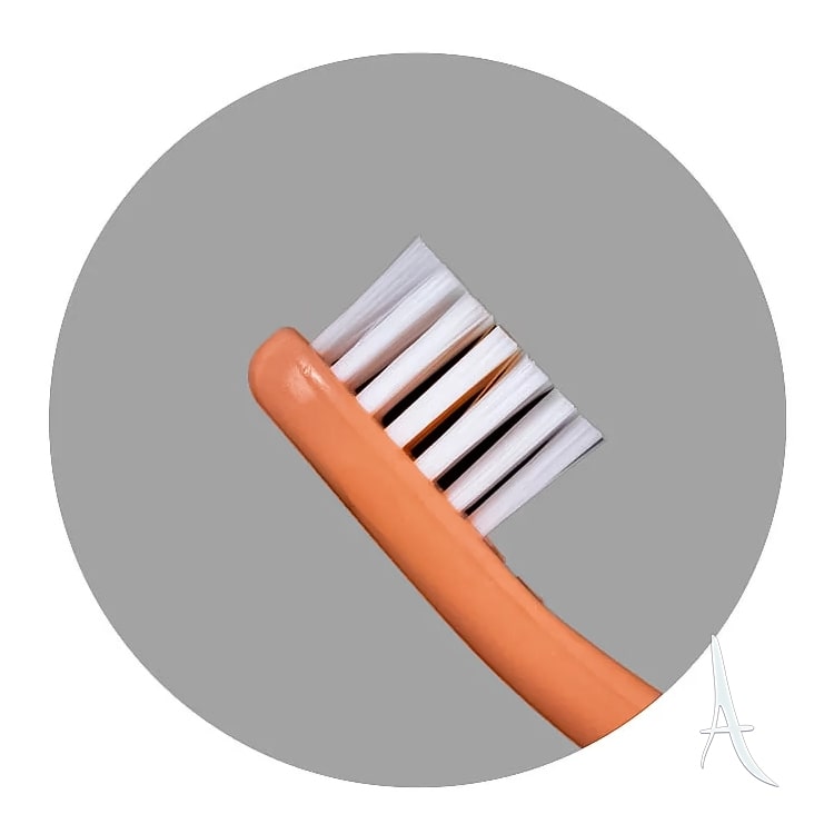 مسواک یادگیری کودک بیبی لند مخصوص سنین 0 تا 2 سال-3