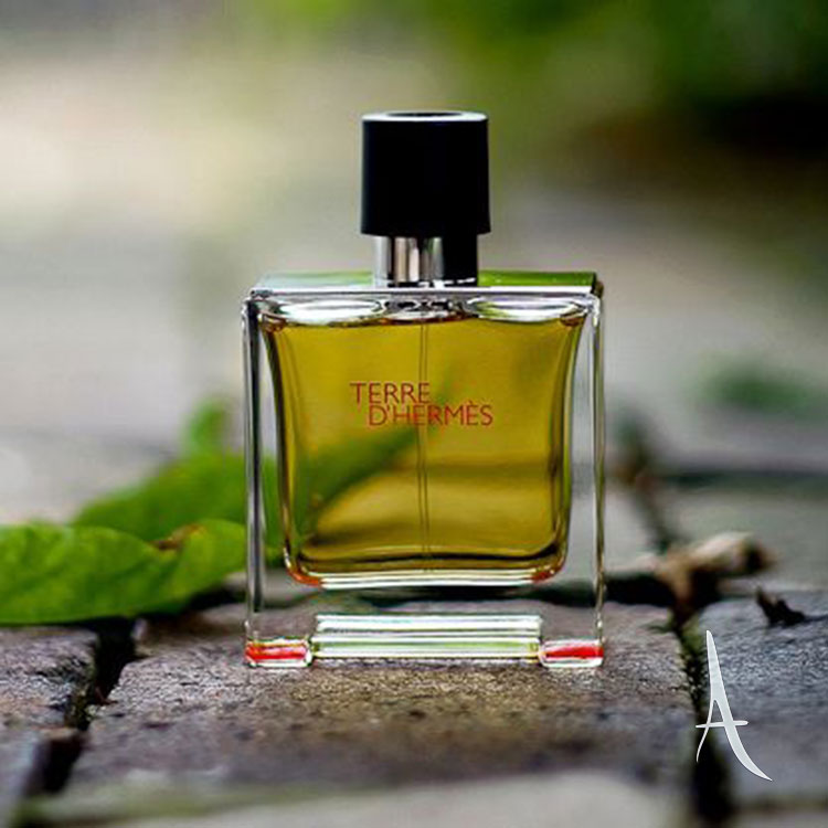 عطر تق هرمس مردانه ادو پرفیوم-3