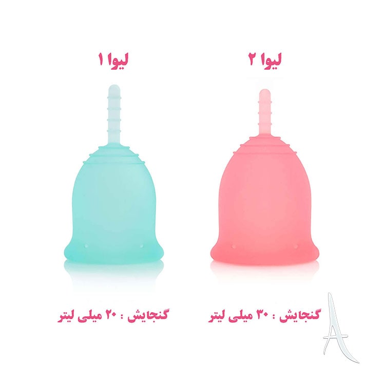 کاپ قاعدگی لیوا فارما سایز-6