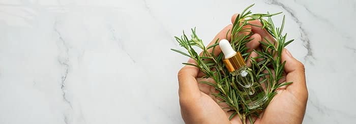 نعناع فلفلی