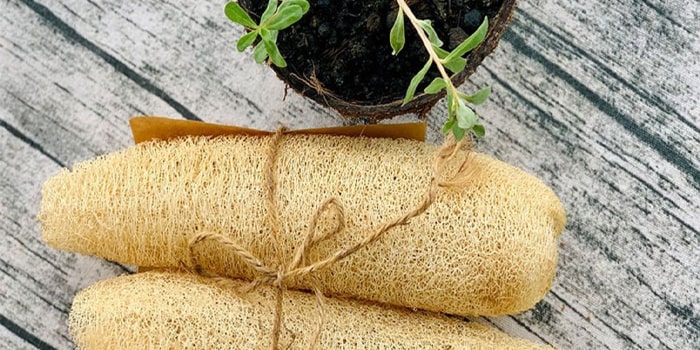 ماندگاری لوفا