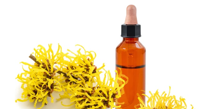 روش های استفاده از فندق افسونگر در روتین پوستی