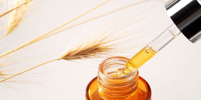 خواص روغن جوانه گندم برای پوست و مو