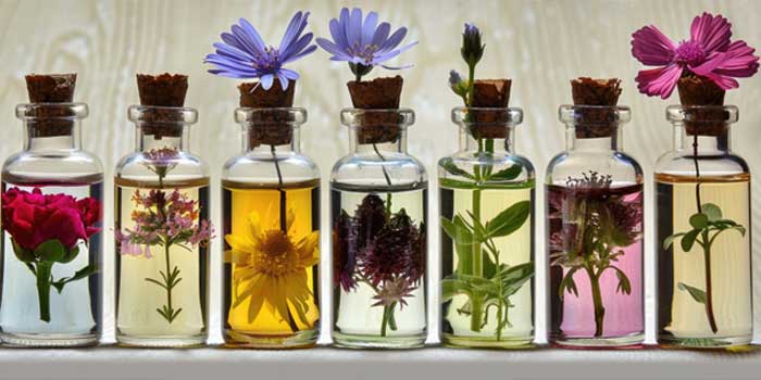ترکیبات طبیعی در عطرسازی